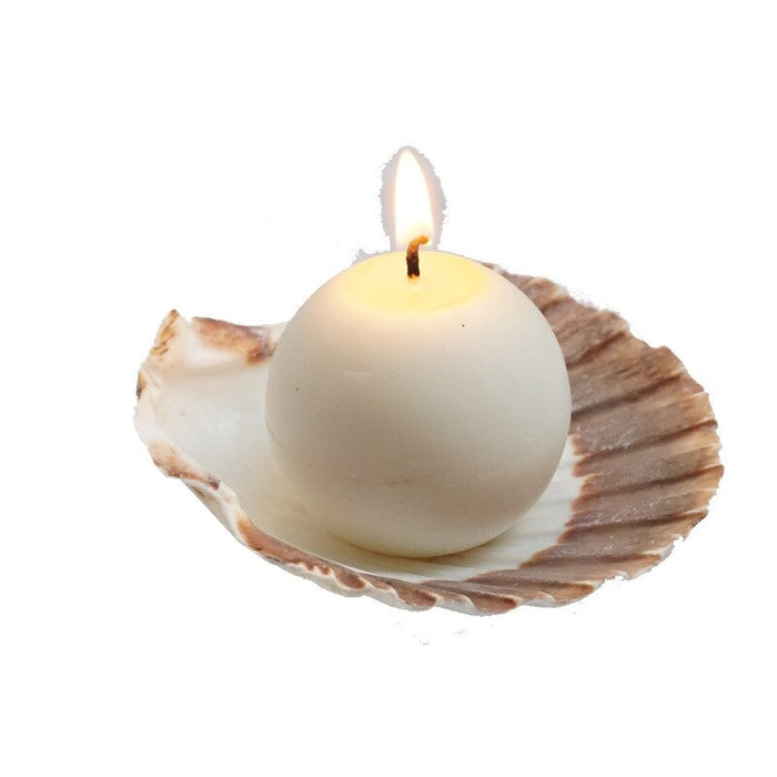 Shell Decorative Candles