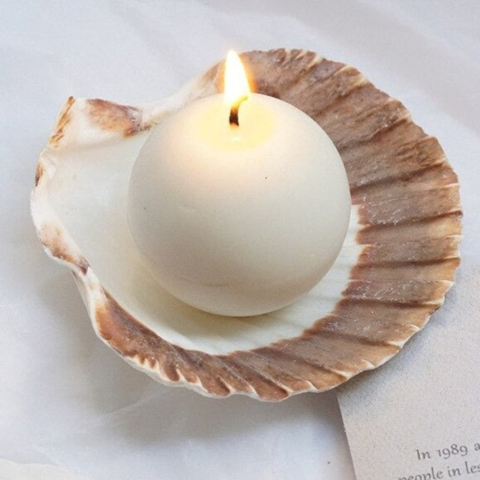 Shell Decorative Candles